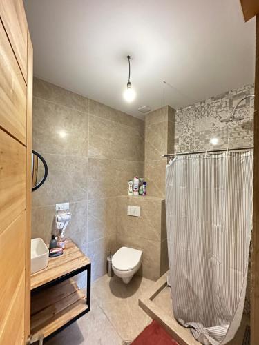 ein Bad mit einer Dusche, einem WC und einem Waschbecken in der Unterkunft Gvazi Apartment in Tbilisi City