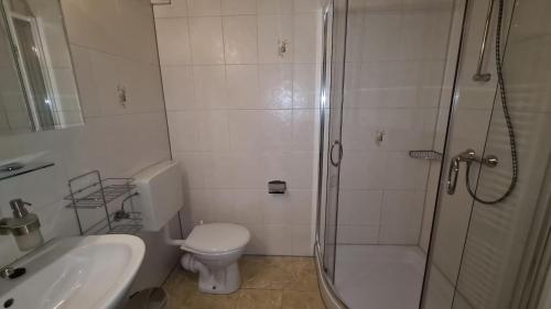 a bathroom with a shower and a toilet and a sink at Ferienwohnung Fleischer in Langenwetzendorf