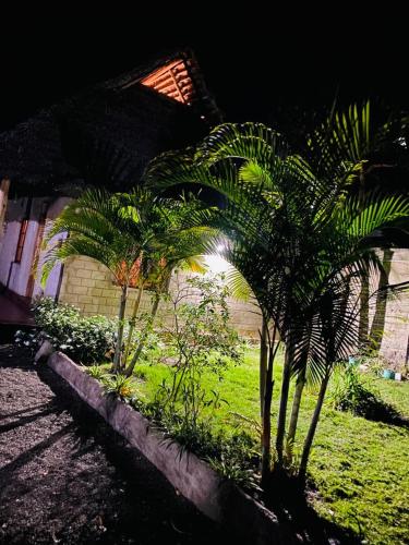 Сад в Charming Eco-Homestay near Kilimanjaro International Airport