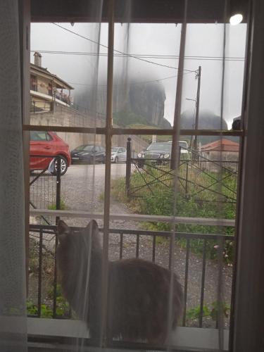 a cat sitting on a window sill looking at a street at Kostis Hause in Kastrákion