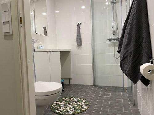 uma casa de banho com um chuveiro, um WC e um tapete em Kaksio lähellä keskustaa ja satamaa *FREE PARKING* em Turku