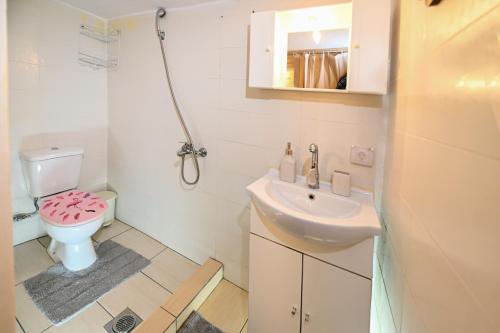uma casa de banho com um lavatório e um WC em Stone house for relaxation in Elos em Kissamos