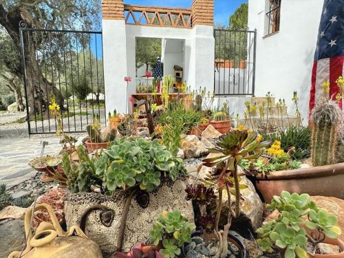 a garden of plants in front of a house at Belvilla by OYO Cortijo de Santa Cruz in Órgiva