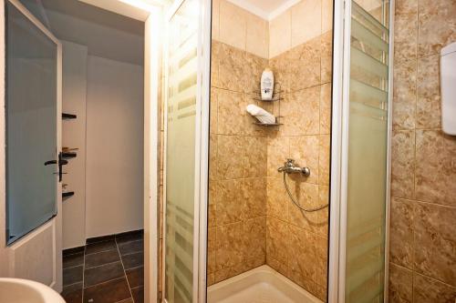 a bathroom with a shower and a sink at Zmaj Ognjeni Etno Concept in Kupinovo
