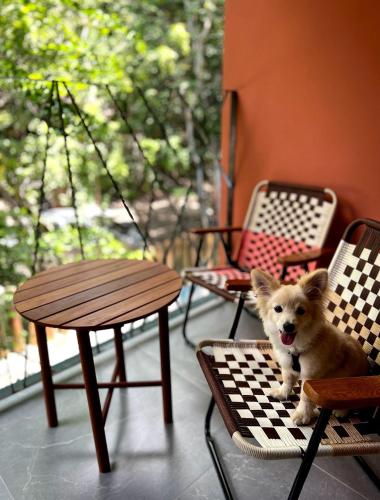 a small dog sitting on a chessboard on a porch at Pousada Pipa Soul in Pipa