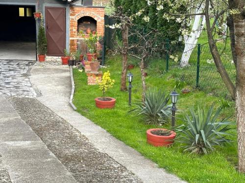 a garden with plants and lights in the grass at Apartman EXCLUZIV in Prijedor