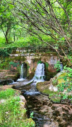 a painting of a waterfall in a forest at Bed & Wine Djonovic in Virpazar