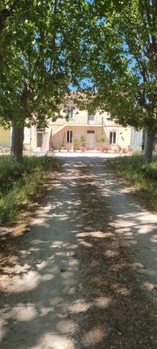 a tree lined road in front of a house at Chambre d'hotes Mas Pékin in Mas-Thibert
