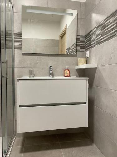 une salle de bain avec un lavabo blanc et une douche dans l'établissement Appartement de standing piana, à Piana