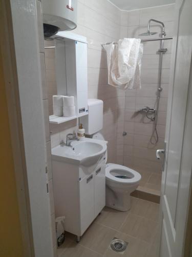 Baño pequeño con aseo y lavamanos en TINA1, en Valjevo