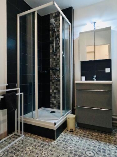 La salle de bains est pourvue d'une douche et d'une cabine de verre. dans l'établissement Appartement Cosy Joué-Les-Tours, à Joué-lès-Tours