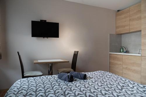a bedroom with a bed and a desk and a television at Studio Apartments Maksimović in Niš