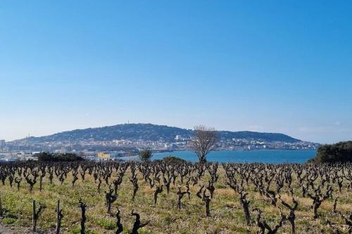 Maison de campagne vue Étang de Thau !