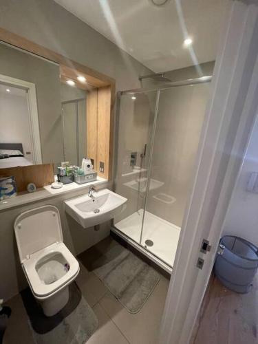 een badkamer met een toilet, een douche en een wastafel bij Vibrant flat in the city centre in Slough