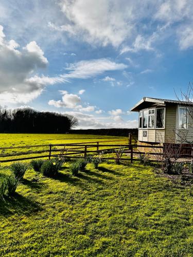 a house in a field next to a fence at Highgate Mountain in Pembrokeshire