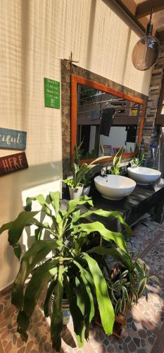 ein Badezimmer mit 3 Waschbecken und einer Topfpflanze in der Unterkunft Altea Hostal in Santa Ana