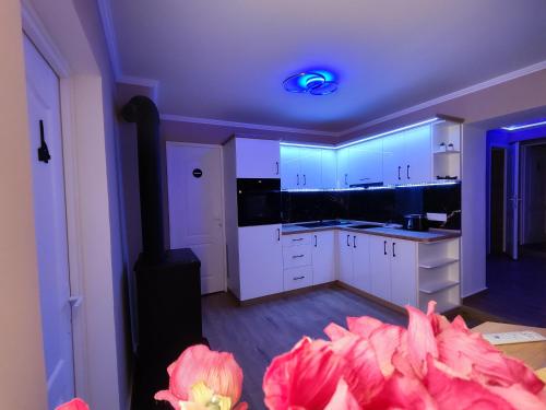 a kitchen with white cabinets and a blue ceiling at Faluvégi Vendégház Szentgyörgyvár in Szentgyörgyvár