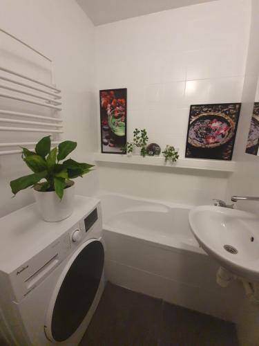 een witte badkamer met een toilet en een wastafel bij STELLA 6 in Sanok
