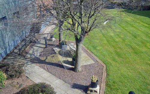 an overhead view of a tree in a park at Best Western Kings Manor in Edinburgh