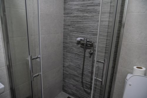 a shower with a glass door in a bathroom at Studio Apartments Maksimović in Niš