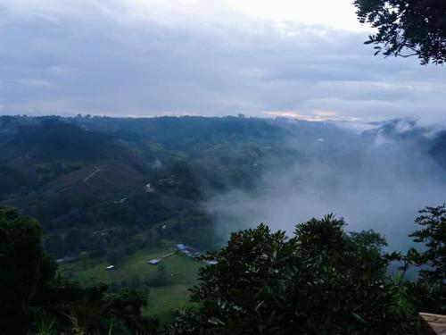 a view of a foggy valley with trees and a river at HakunaMatata glamping Pumba in Salento