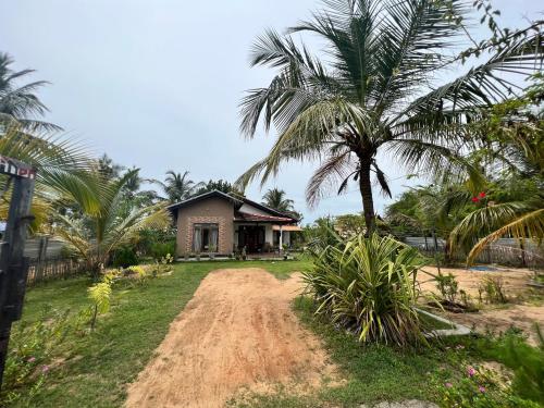 a house with a palm tree and a dirt road at Aiden Homestay in Pasikuda
