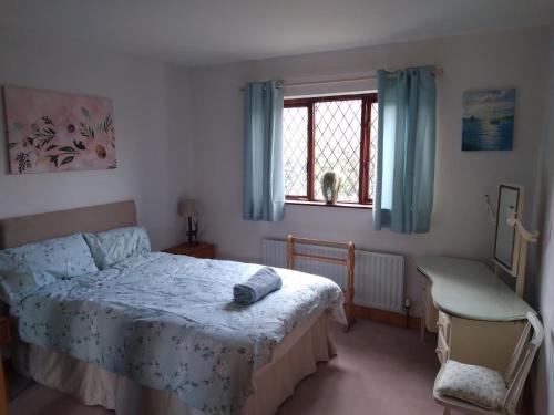 1 dormitorio con cama y ventana en Dunroven Guest House, en Carlow