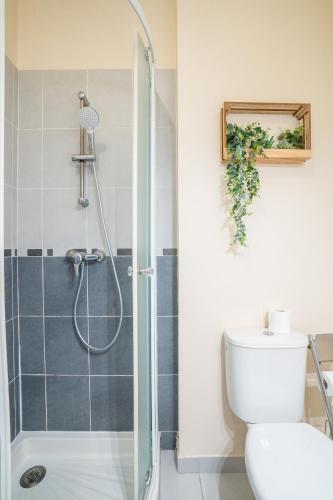 une salle de bain avec douche et toilettes dans l'établissement Sophie 2 pers à 20 minutes de Beauval, à Montrichard