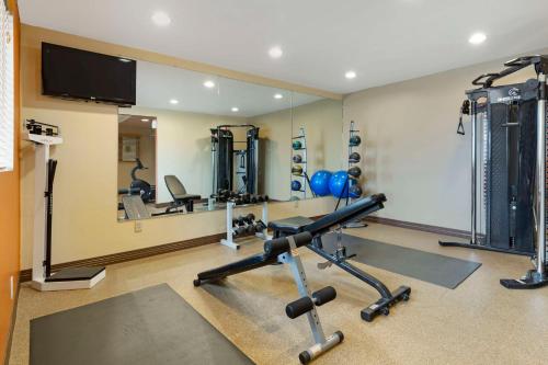 a fitness room with a gym with a mirror at Best Western The Inn at Sharon - Foxboro in Sharon
