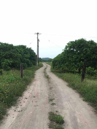 a dirt road in the middle of a field at Casa de vacaciones rancho la chingada in Tecolutla