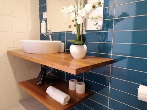 Apartamento Graciosa - Sta Catarina Place