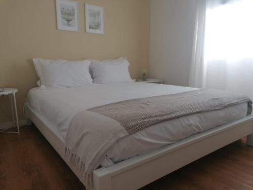 Apartamento Graciosa - Sta Catarina Place