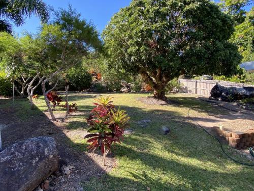 a garden with trees and grass and a fence at J & Ella's Holiday House - 2 Bedroom Stays in Cooktown