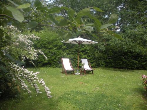 two chairs and an umbrella in the grass at B&B Le Bois Dormant in Spa