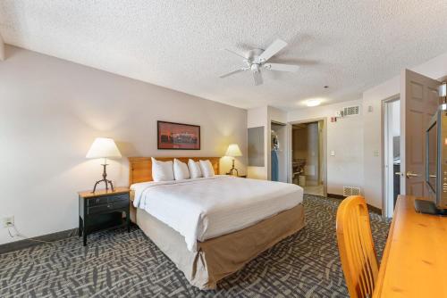 a hotel room with a bed and a ceiling fan at Metro Scottsdale Apartments 1 bd in Scottsdale
