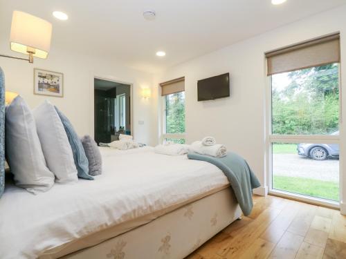 Un dormitorio con una cama grande y una ventana. en Beech, en Truro