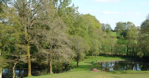 a park with a pond and trees and a river at Les Etangs de Pitié in Mellionnec