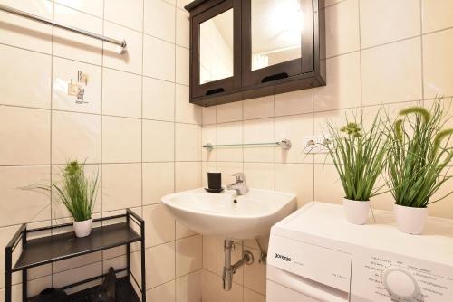 a bathroom with a sink and two potted plants at Hidden Gem in Central Innsbruck with free Parking in Innsbruck