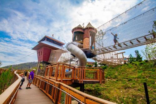 a amusement park with a slide on a bridge at Rustic Modern Getaway - Mtn View - Creek - Hammock - Rest in Sevierville