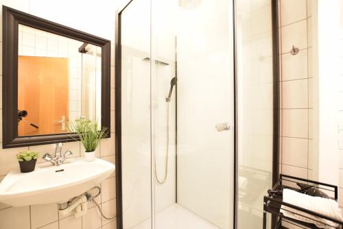 uma casa de banho com um lavatório e um chuveiro em Super central city appartement with free parking em Innsbruck