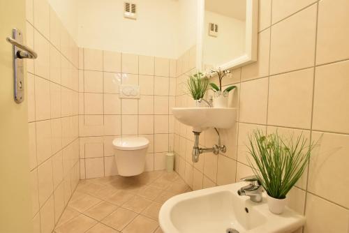 een badkamer met een wastafel en een toilet met planten bij Big place in city center with parking in Innsbruck