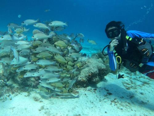 a person taking a picture of a reef with fish at casa en playa santa clara yucatan in Santa Clara