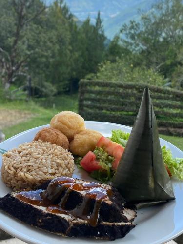a plate of food with rice and meat and vegetables at Granja del Cafe Hotel y Centro de convenciones in Venecia