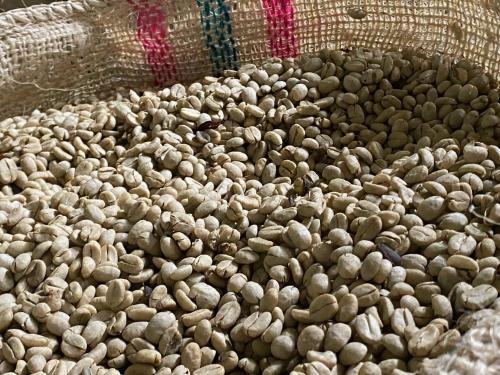 a pile of nuts on the side of a couch at Granja del Cafe Hotel y Centro de convenciones in Venecia