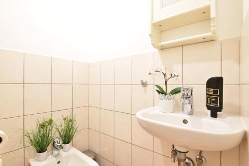 a bathroom with a sink and a toilet with plants at Huge Apartment in Awesome Location with parking in Innsbruck