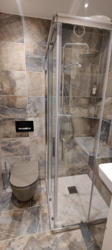 a bathroom with a shower with a toilet and a sink at Haus Cristal - 1441m in Leukerbad