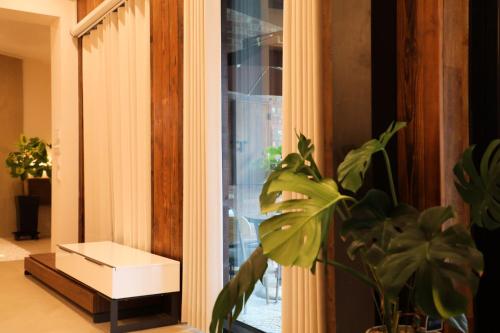 a plant is sitting next to a window at Jeonju Hanok Village, Maison14 in Jeonju