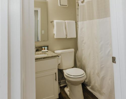 a bathroom with a toilet and a sink and a mirror at Modern Mass Ave 1BR Apartment with Kitchen in Indianapolis