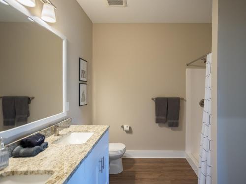 uma casa de banho com um lavatório, um WC e um espelho. em Modern 2BR 2BA New Build Condo with Garage & Patio em Wyoming