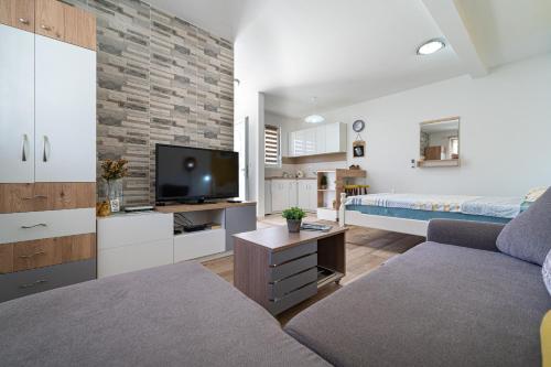 a living room with a couch and a flat screen tv at Apartments Gruda in Cetinje